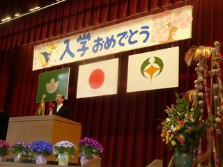 P1090670-800.jpg